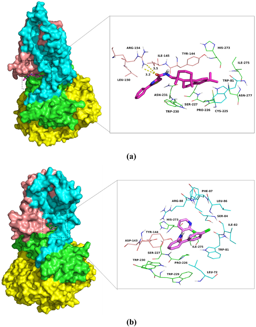 The predicted binding modes of compound 4b (a) and boscalid (b) in SDH binding pockets obtained from molecular dynamics simulation (chains A, B, C and D of SDH were colored by yellow, cyan, green and salmon, respectively; compound 4b and boscalid were shown in rose red and pink sticks, respectively).