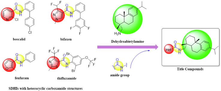 Design strategy of the title compounds.