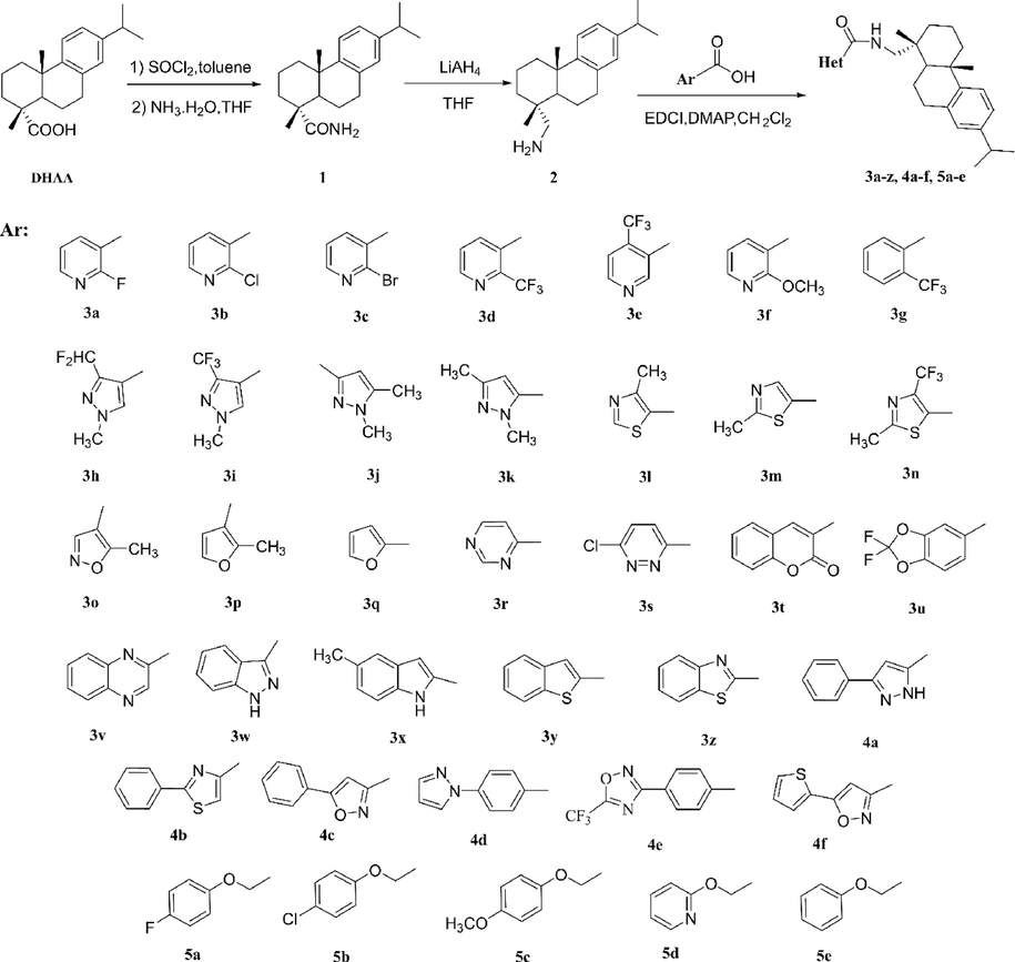 Synthetic route for the title compounds 3a-3z, 4a-4f and 5a-5e.