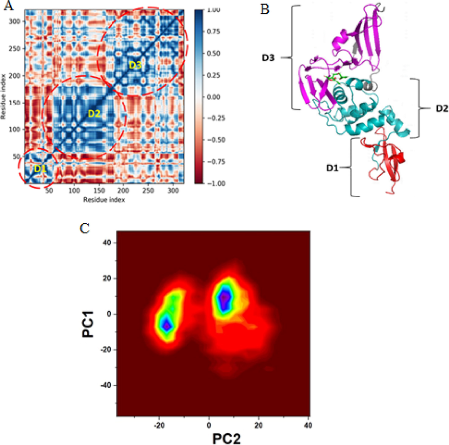 A) Dynamic cross-correlation map of Cα backbone atom pairs of ligand-bound SARS-CoV-2 PLpro, B) Domains of PLpro correlated to the protein’s dynamics, C) PCA of two contributing motions clustered from MD trajectories of aspergillipeptide F bound PLpro.