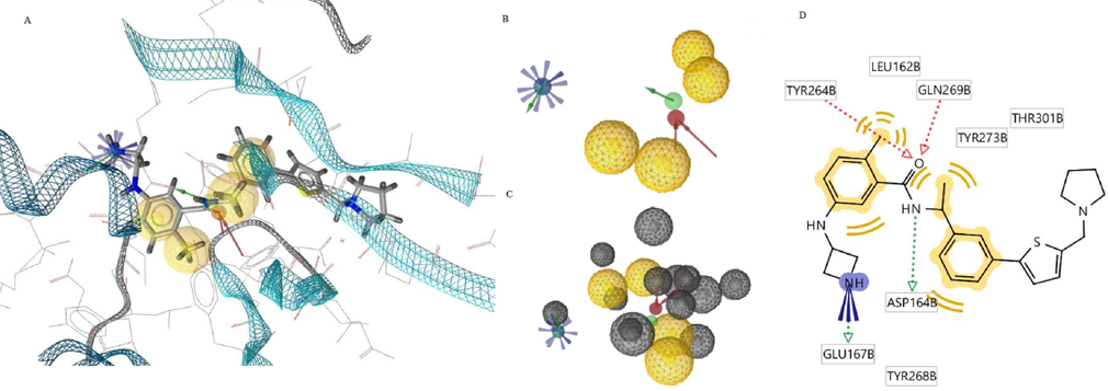 A) 7LBS-XR8-24-based pharmacophore model at the PLpro active site B) Optimized pharmacophore model in 3D C) Optimized view of the model with exclusion volume coats D) 2D depiction of the model showing the interacting residues of PLpro.