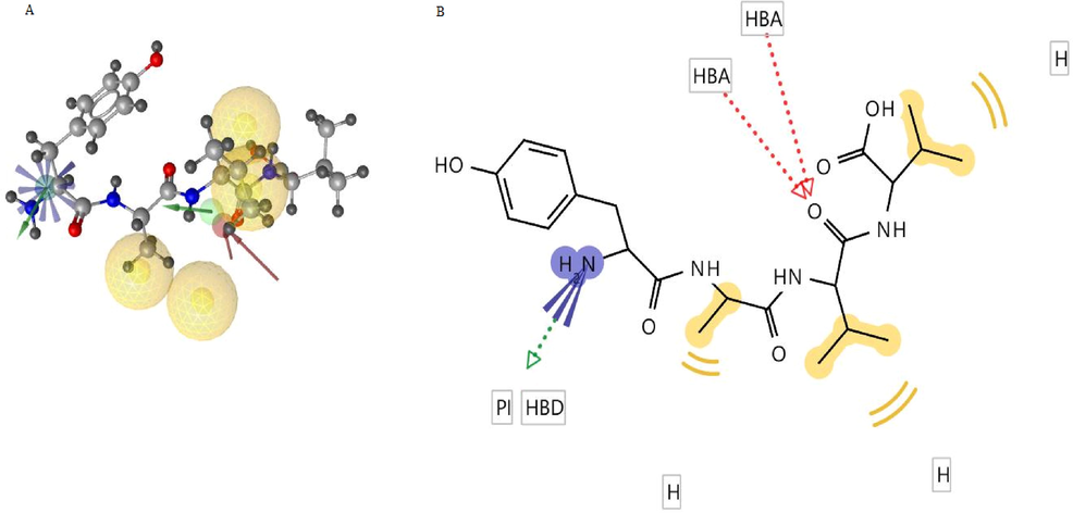 A) CMNPD28766, aspergillipeptide F aligned to 3D pharmacophore model B) 2D depiction of aspergillipeptide F pharmacophore model interaction features.