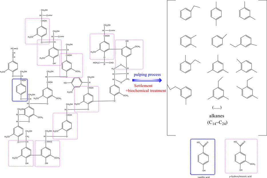 The main structure of softwood lignin (Laurichesse and Avérous 2014), lignin degradation products after biochemical treatment and their model compounds (vanillic acid and p-hydroxybenzoic acid).