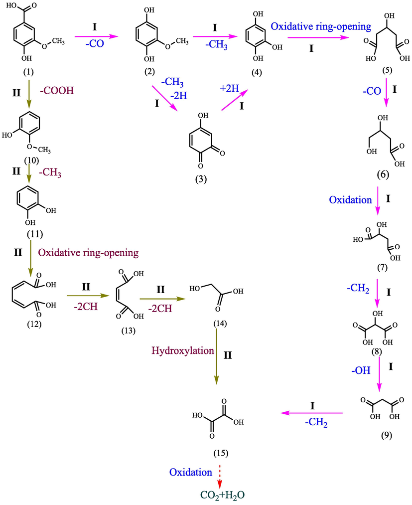 Proposed pathways for vanillic acid degradation in the system of GO-Fe3S4-H2O2.