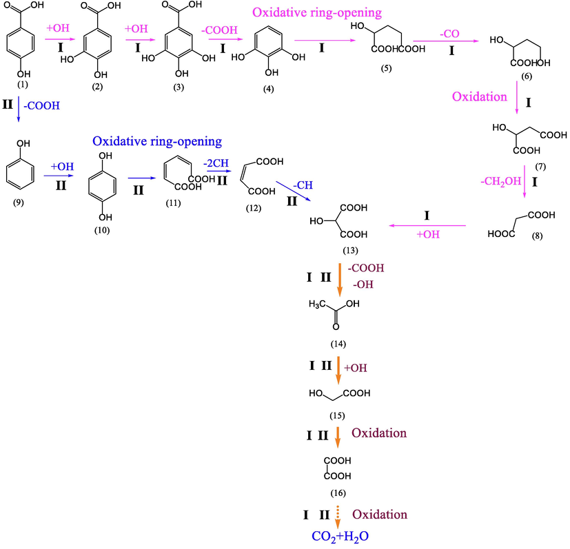 possible path of PHBA degradation.