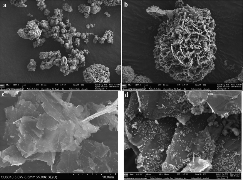 SEM analysis of different catalysts (a、b) Fe3S4, (c) GO and (d) GO-Fe3S4.