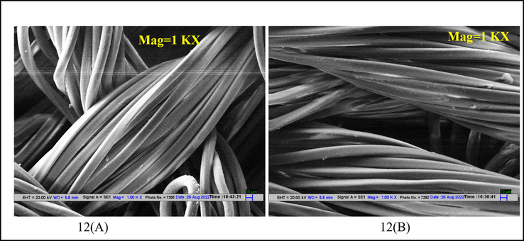 (A) SEM image of undyed nylon; (B) SEM image of dyed nylon.