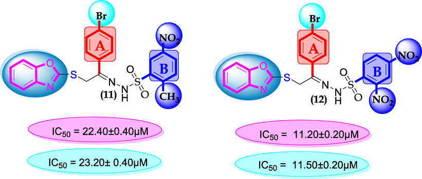 SAR for compounds 11 and 12.