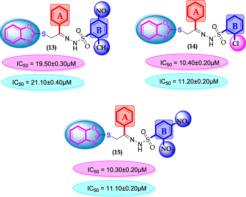 SAR for compounds 13, 14 and 15.