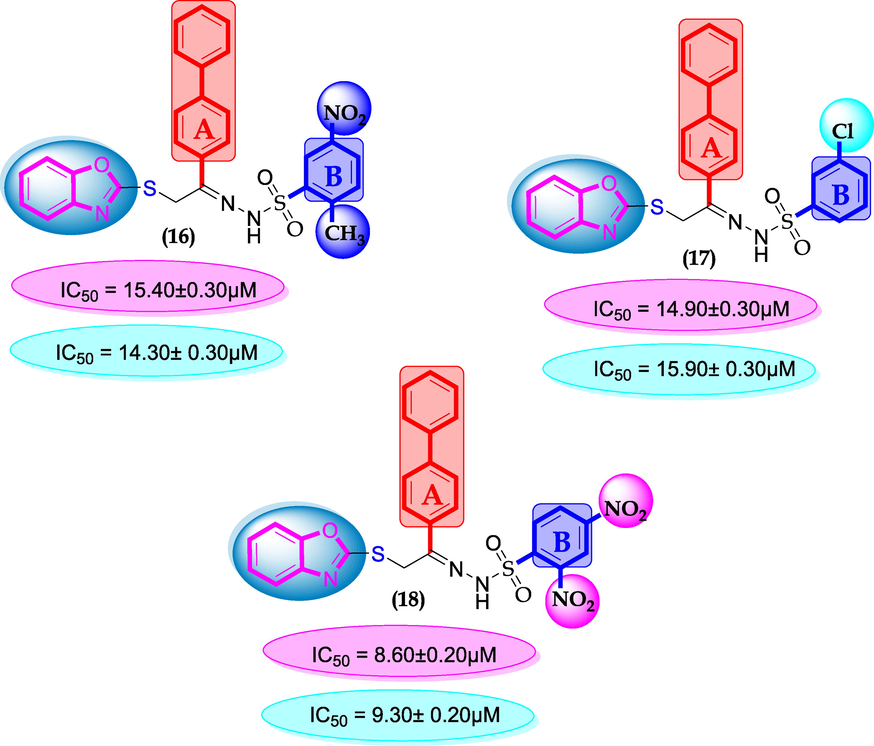 SAR for compounds 16, 17 and 18.