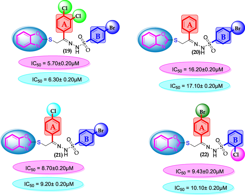 SAR for compounds 19, 20, 21 and 22.