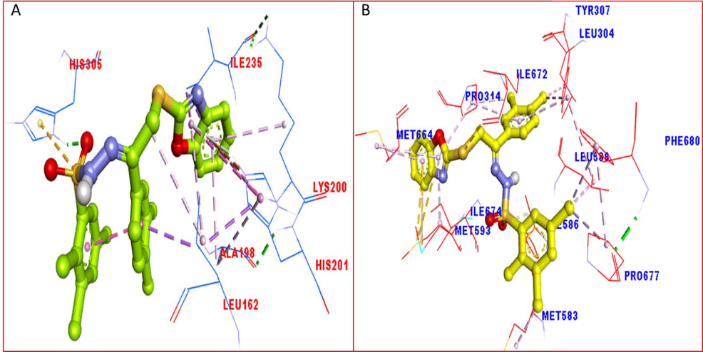 The PLI profile for potent compounds-1 against Alpha amylase and Alpha glucosidase enzyme indicate the surface of the corresponding enzyme by 3D.