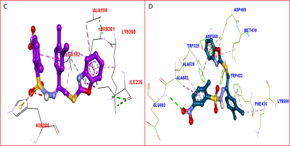 The PLI profile for potent compounds-8 against Alpha amylase and Alpha glucosidase enzyme indicate the surface of the corresponding enzyme by 3D.