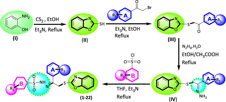 synthesis of benzoxazole based benzene sulphonamide derivatives.