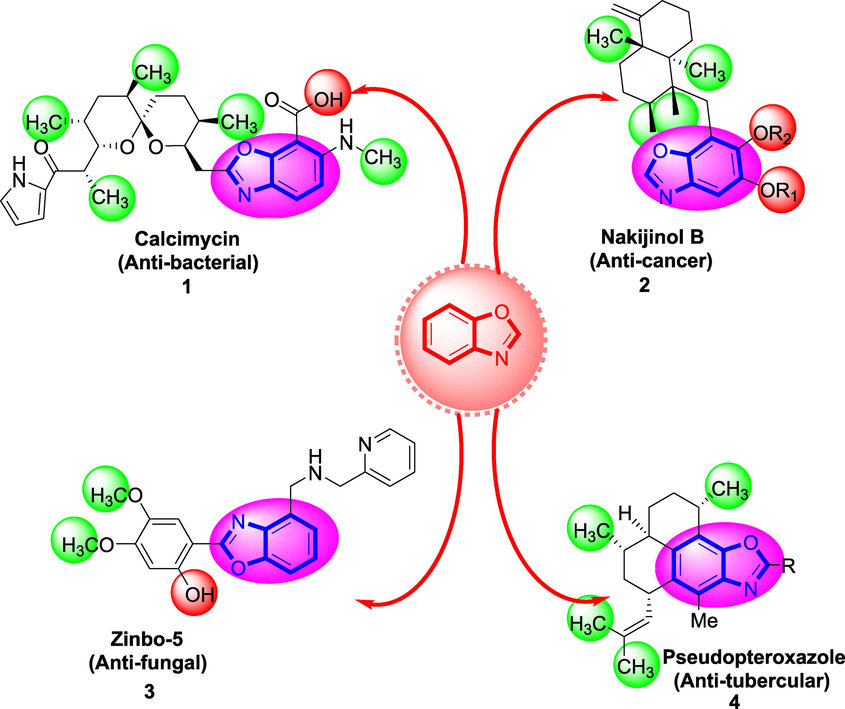 Various bioactive drugs of benzimidazole.