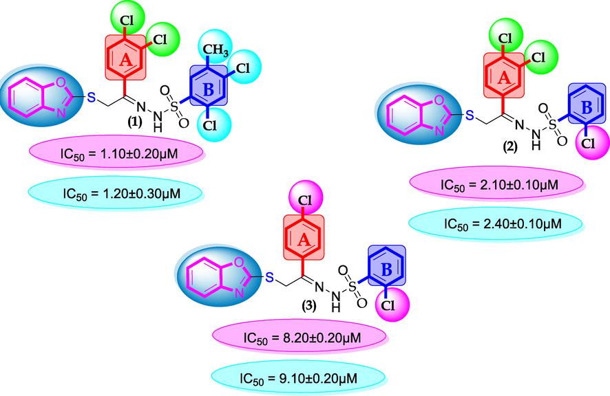 SAR for compounds 1, 2 and 3.