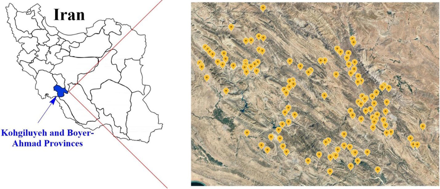 Map of the study area and water sampling points.