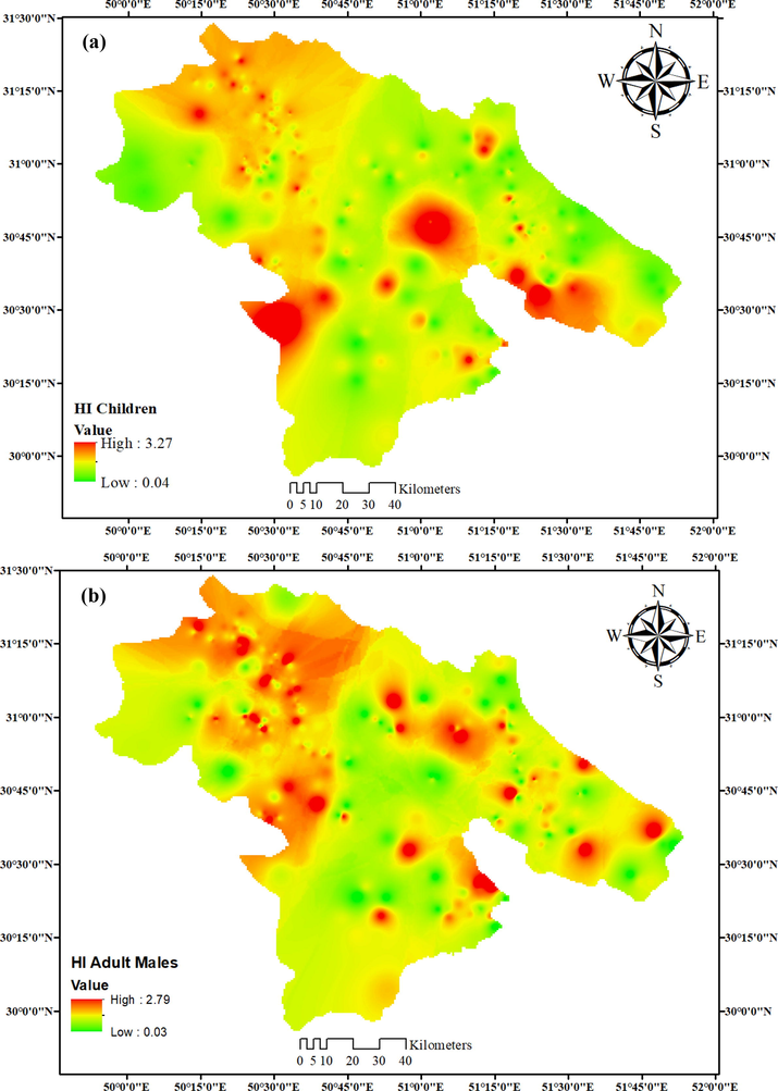 Spatial distribution of HI in children (a), adult males (b), and adult females (c).