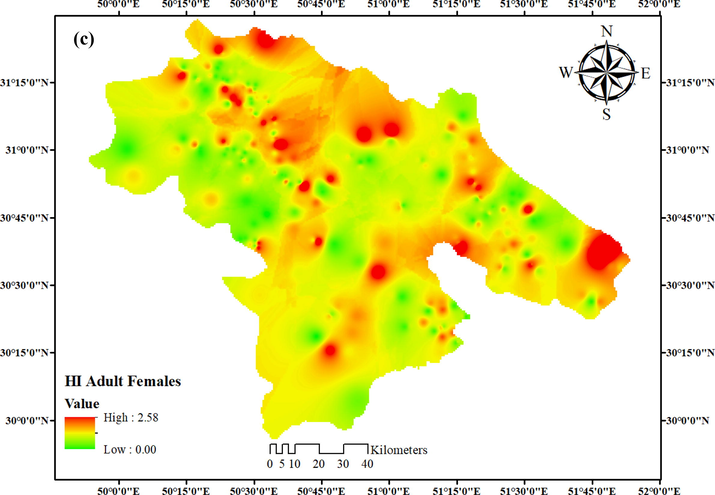 Spatial distribution of HI in children (a), adult males (b), and adult females (c).