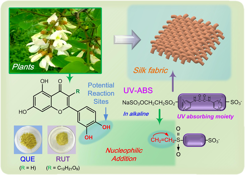 Modification of QUE and RUT with UV-ABS for silk finishing.