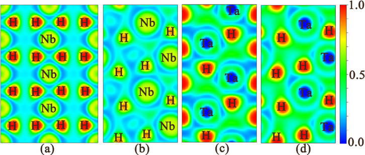 Electron localization function (ELF) of for stable MH2 (M = Nb, Ta) phases: (a) ( −1 1 0) plane for the Fm 3 ¯ m-NbH2 phase at 1 atm, (b) (0 1 0) plane for the Pnma-NbH2 phase at 100 GPa, (c) (1 1 0) plane for the P63mc-TaH2 phase at 1 atm, and (d) (0 1 0) plane for the Pnma-TaH2 phase at 100 GPa.