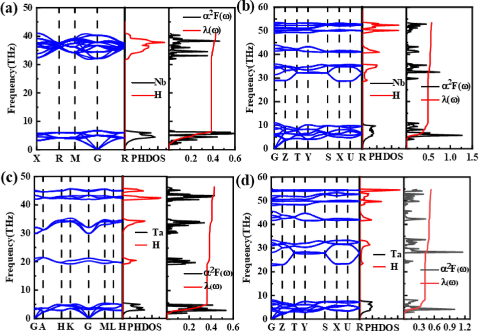 Phonon dispersion relations, projected phonon densities of states (PHDOS), and Eliashberg spectral function for (a) Fm 3 ¯ m-NbH2 at 1 atm, (b) Pnma-NbH2 at 100 GPa, (c) P63mc-TaH2 at 1 atm, and (d) Pnma-TaH2 at 100 GPa.