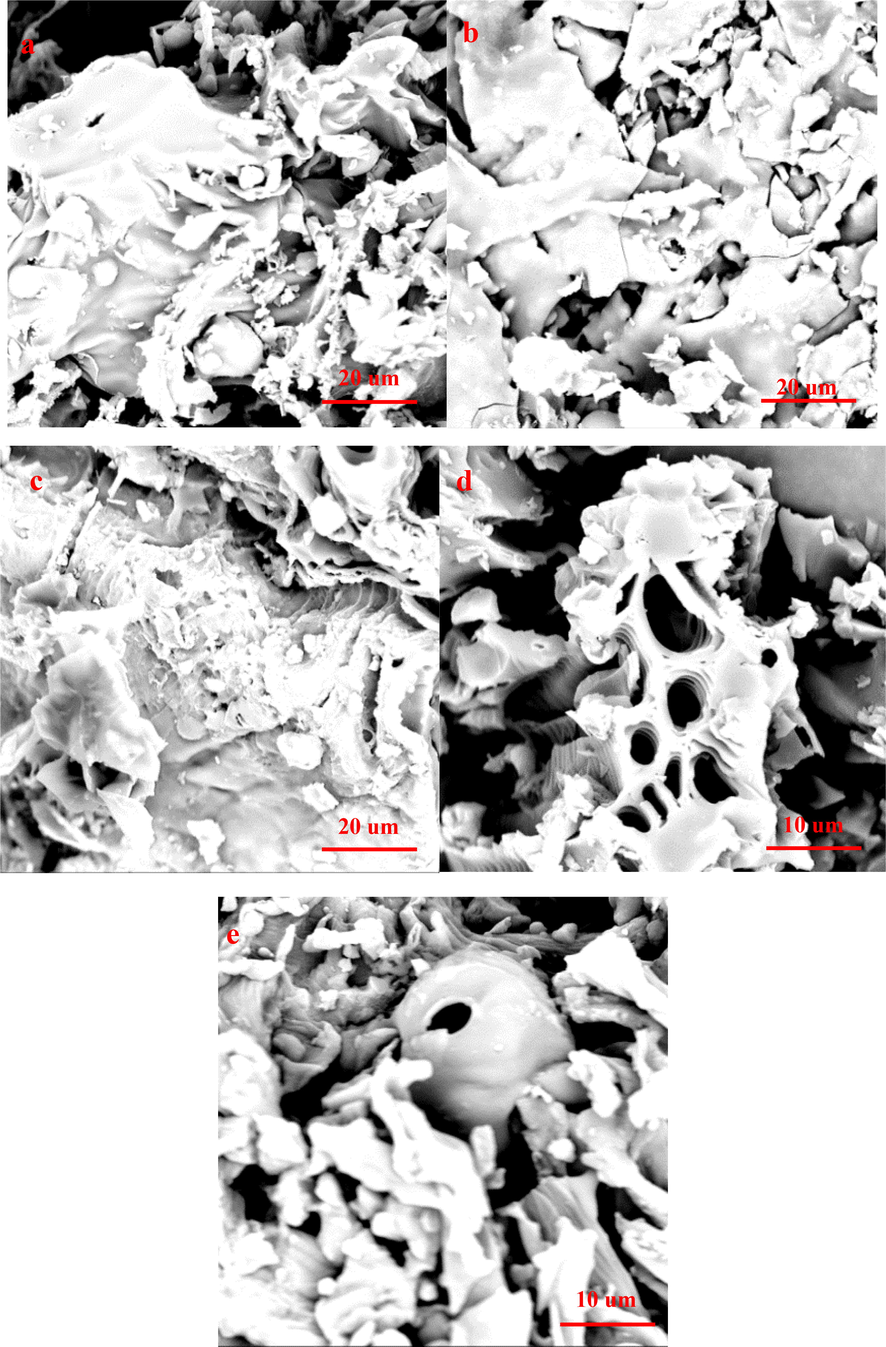 SEM of biochar produced at 400-800 °C(a: COS-400 °C, b:COS-500 °C, c:COS-600 °C, d:COS-700 °C and e:COS-800 °C).