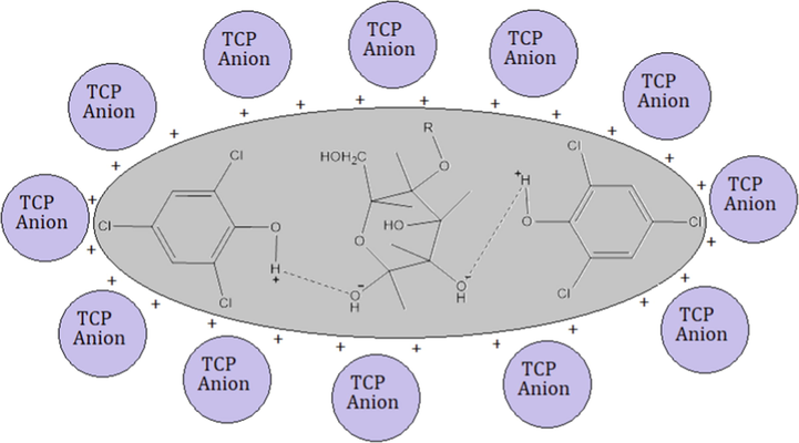 Proposed mechanism for the adsorption of TCP on the composite adsorbent.