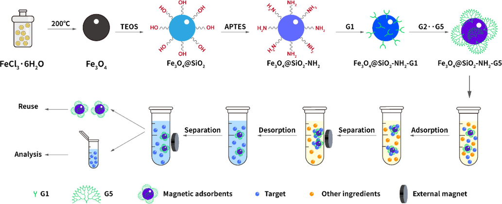 Schematic of preparation for Fe3O4@SiO2-NH2-G5 and its application in MSPE program.