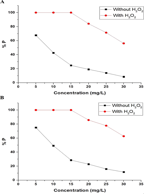 The effect of the initial concentration of methylene blue dye on the photodegradation efficiency (% P) using the nanocomposites formed as a result of precipitation (A) and ignition (B).