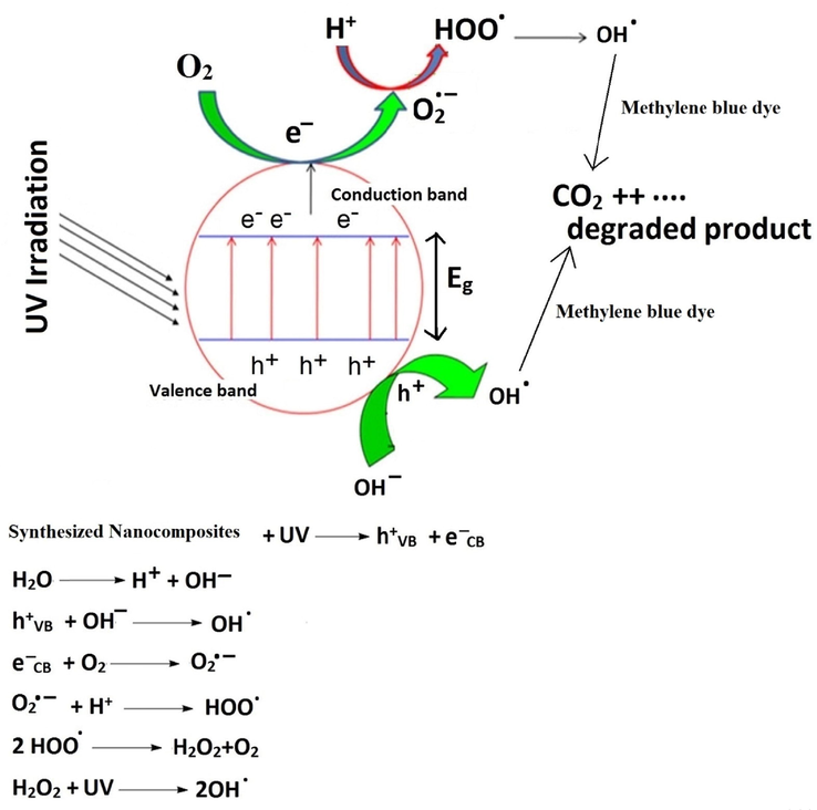 Proposed mechanism for the degradation of methylene blue dye using the synthesized nanocomposites.