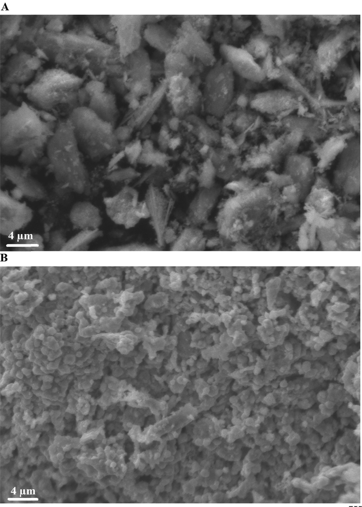 Scanning electron microscope analysis of the nanocomposites formed as a result of precipitation (A) and ignition (B).