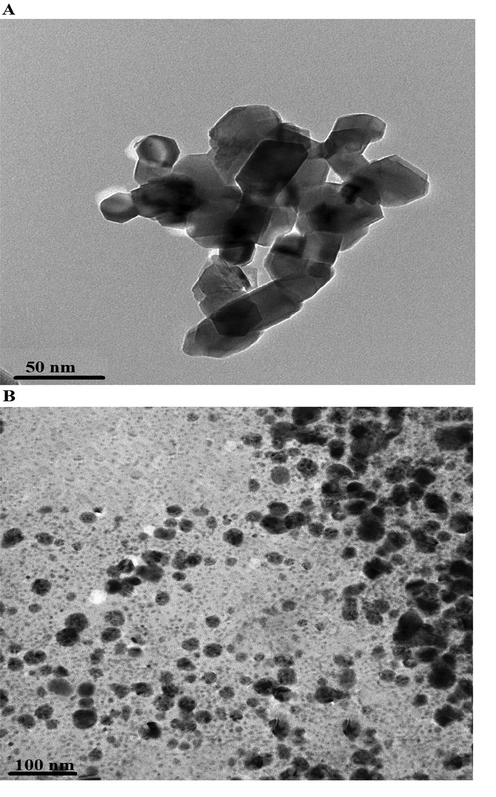 Transmission electron microscope analysis of the nanocomposites formed as a result of precipitation (A) and ignition (B).