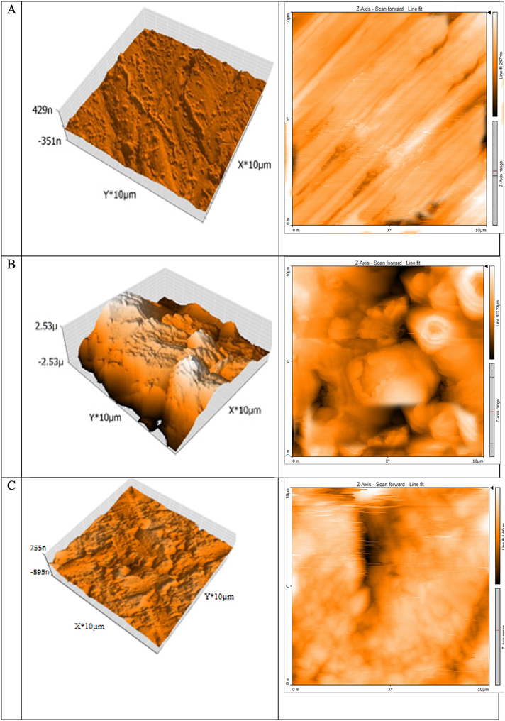 3D & 2D-AFM micrographs (A) Free C-steel surface (B) after 14 h of inundation in 1.0 M HCl and (C) after 14 h of inundation in 1.0 M HCl + 16 × 10-6 M of ABP.