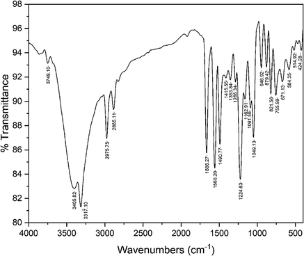 FT-IR spectrum of ABP.