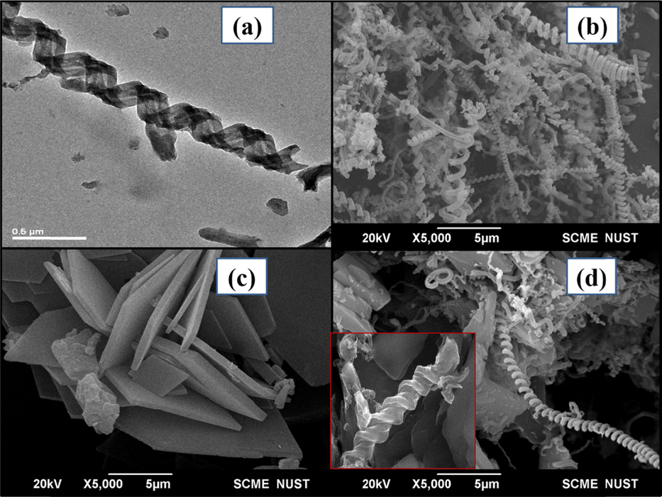 TEM image of CNC at 0.5 µm (a) and SEM images of CNC (b), CuTMePP (c) and CNC/CuTMePP nanocomposite (d) at 5 µm. Inset of (d) shows SEM image CNC/CuTMePP nanocomposite at 0.5 µm.