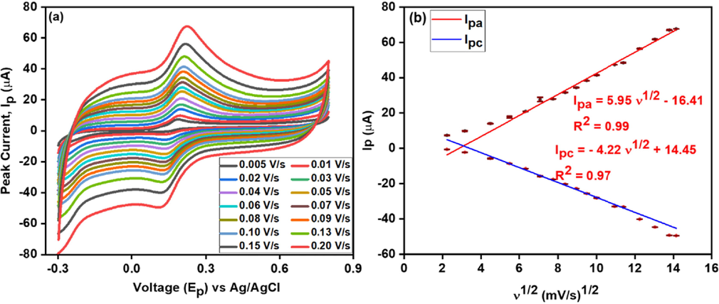 Effect of different scan rates (a) at CNC/CuTMePP/GC performed in 0.5 mM dopamine (potassium phosphate buffer 0.1 M, pH 7.0); and calibration plot (b) between redox current and square root of scan rate.