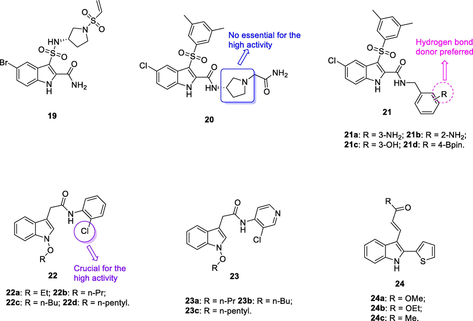 Chemical structure of indole derivatives 19–24.