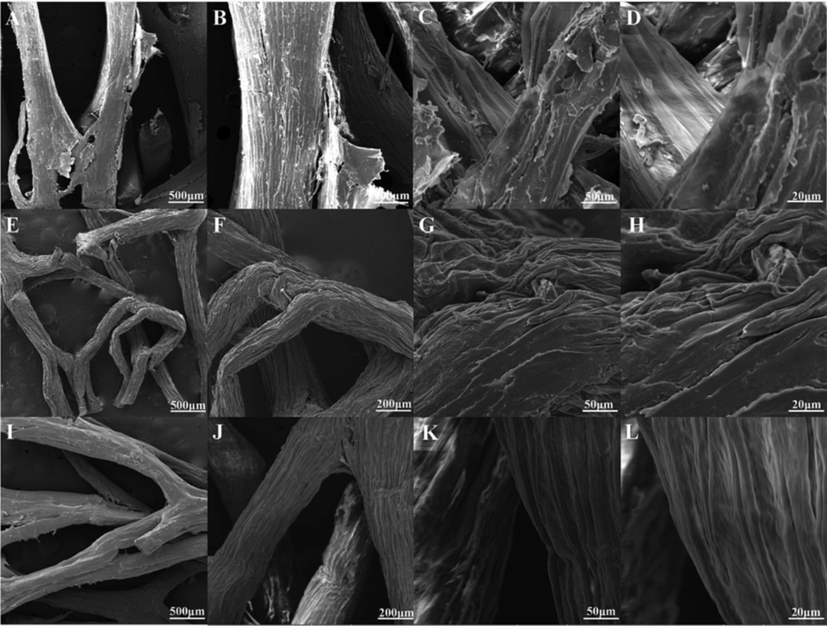 SEM images of raw-LFs (A-D), LFs (E-H) and LFs-PSSS (I-L).