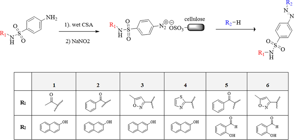 Synthesis of new azo-sulfonamides in the presence of CSA.