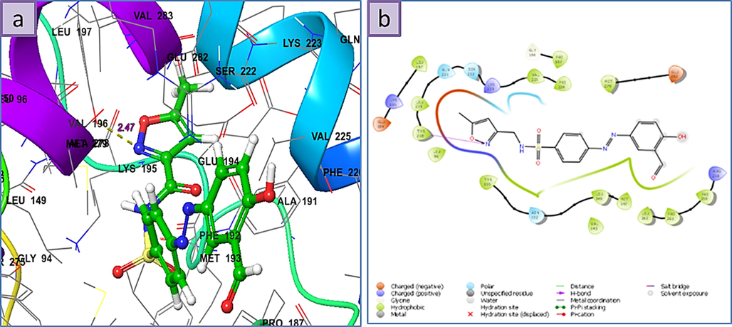 a) 3D the binding mode of the ligands with the binding site of Human 17-Beta-Hydroxy Steroid Dehydrogenase (PDB Id: 1FDW), b) 2D ligand-receptor interaction with 1FDW enzyme.