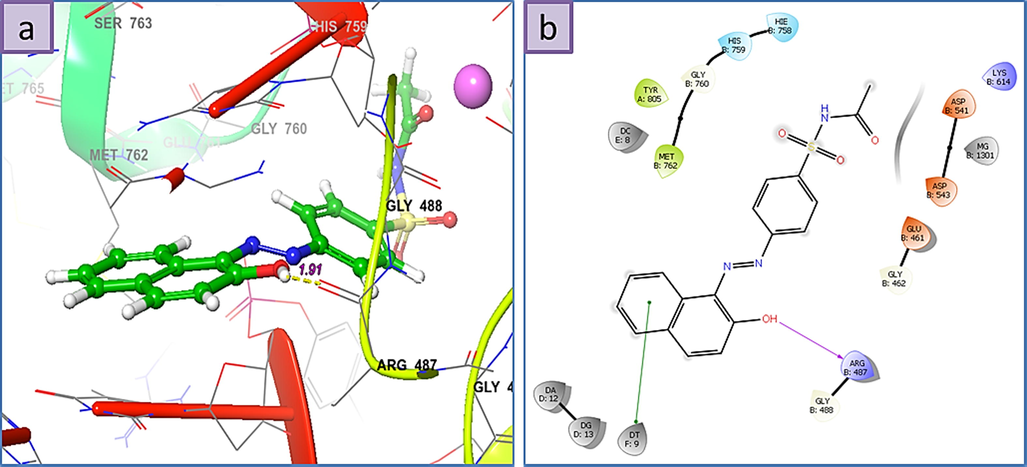 a) 3D the binding mode of ligands with Human Topoisomerase II alpha (5GWK), b) 2D ligand-receptor interaction with 5GWK enzyme.