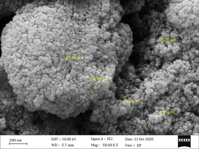 FE-SEM image of the Pectin/Ag NPs.