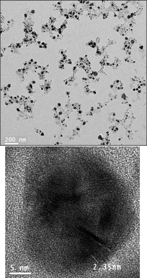 HR-TEM images of Pectin/Ag NPs.