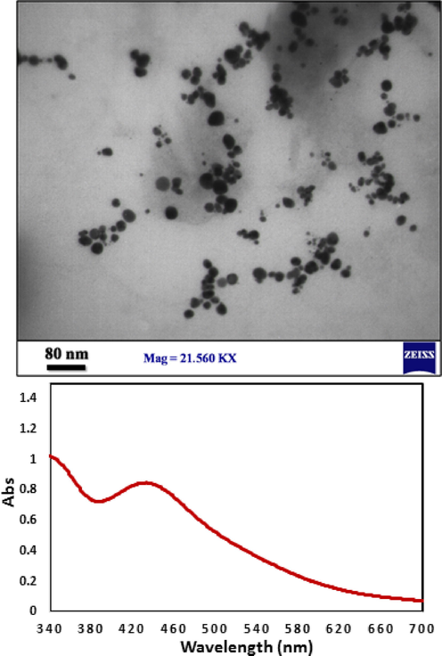 TEM image and UV–visible spectra of Pectin/Ag NPs after 60 days.