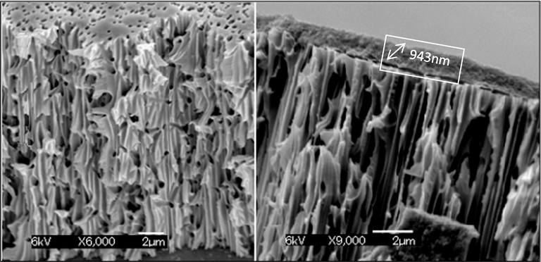 Cross-section view by SEM of 0.2 µm PVDF membrane: (left) before gel layer coating/formation (6000x), (right) after gel layer coating/formation (9000x).