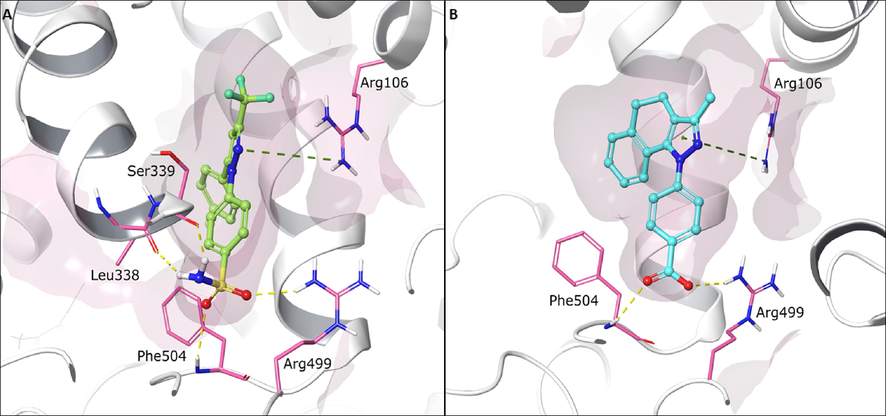 Predicted binding conformations into COX-2 active site of (A) reference ligand celecoxib (green) and (B) compounds 3ab (cyan). Green dotted lines represent cation - π interaction. Yellow dotted lines represent hydrogen bond interaction. Relevant amino acids are shown in thin tube. Compounds are shown in ball-and-stick representation. The secondary protein structure is depicted as white ribbons.