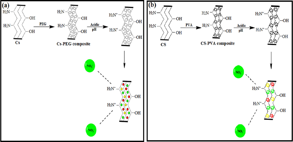 (a) Mechanism for the effect of pH on PEG/chitosan composite and (b) PVA/chitosan composite. Reprinted with permission from (Rajeswari et al., 2016); Copyright 2021, Elsevier.