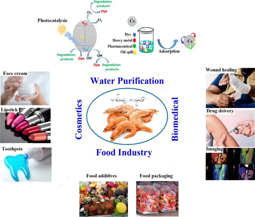 Various applications of chitosan biopolymer.