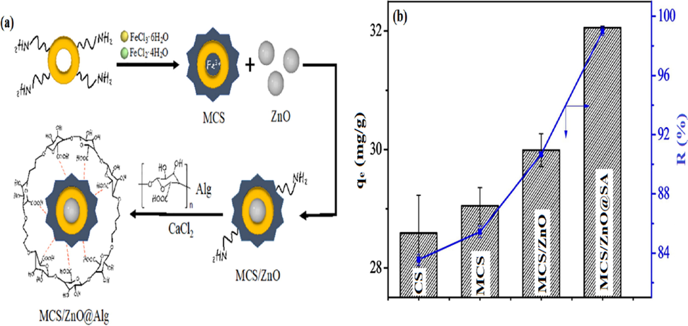 (a) A schematic diagram describes the preparation of MCS/ZnO@Alg beads, (b) adsorption profiles for CS, MCS, MCSZnO and MCS/ZnO@Alg beads toward As(V). Reprinted with permission from (Wang et al., 2019); Copyright 2021, Elsevier.